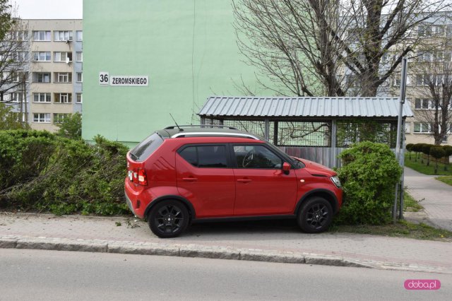 Wjechał w żywopłot i boks śmietnikowy