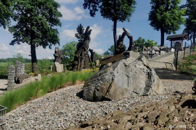 Arboretum w Wojsławicach w obiektywie Jana Wilka