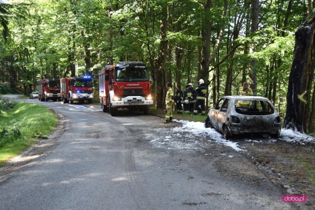 Pożar auta w okolicy Przełęczy Jugowskiej