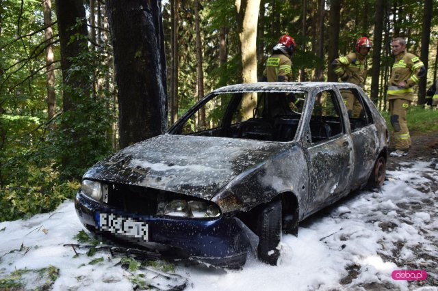 Pożar auta w okolicy Przełęczy Jugowskiej