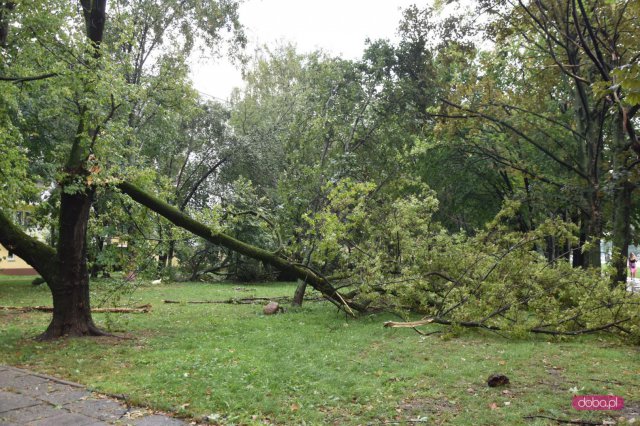 Nawałnica nad Dzierżoniowem