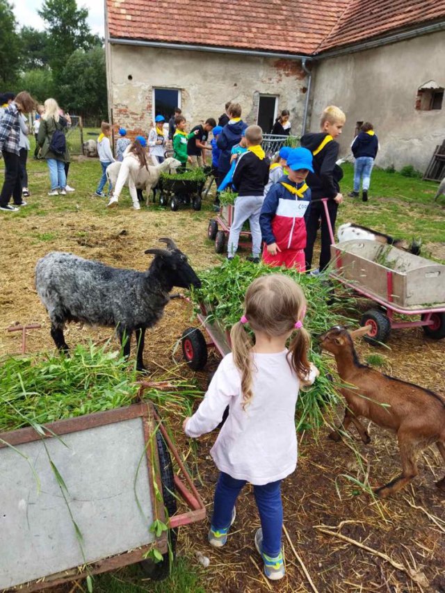 Letnie warsztaty dla dzieci i młodzieży z Ukrainy