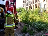 Straż pożarna w Silesianie przy Brzegowej w Dzierżoniowie