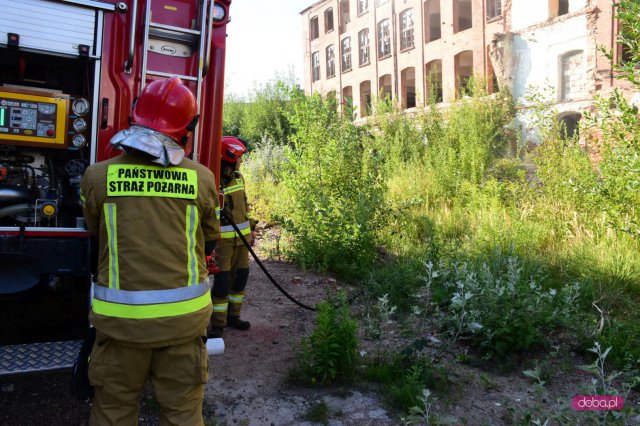 Straż pożarna w Silesianie przy Brzegowej w Dzierżoniowie
