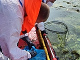 Dzierżoniowscy strażacy zaangażowani w działania przy usuwaniu śniętych ryb