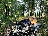 Śmieci na Wzgórzach Kiełczyńskich