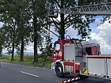 Zwisająca gałąź nad jezdnią. Interwencja strażaków na drodze Dzierżoniów-Uciechów [Foto]
