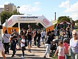 Nowe postacie na Alei Bakjowych Gwiazd w Dzierżoniowie