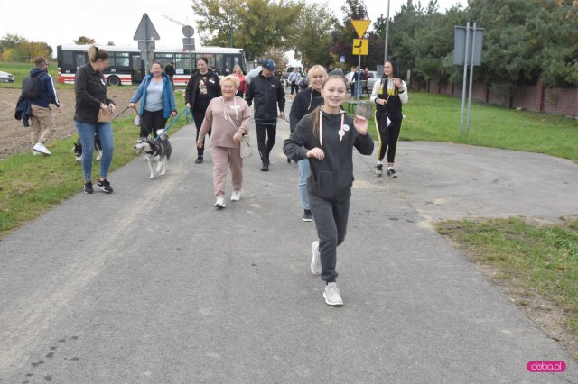 II Bieg 4 Łapy w Dzierżoniowie 