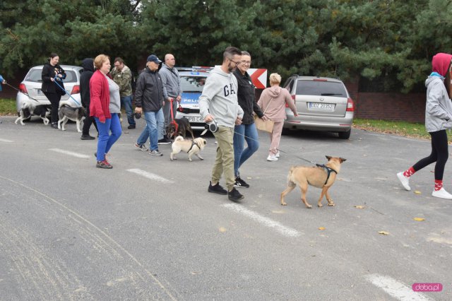 II Bieg 4 Łapy w Dzierżoniowie 