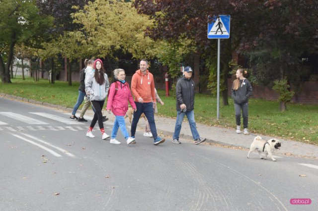 II Bieg 4 Łapy w Dzierżoniowie 