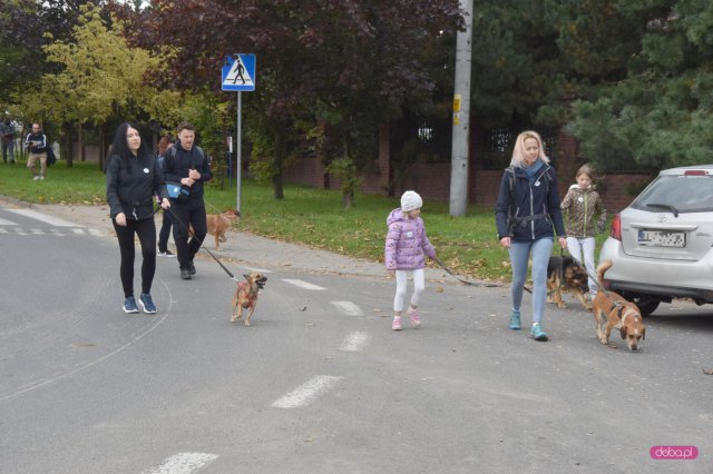 II Bieg 4 Łapy w Dzierżoniowie 
