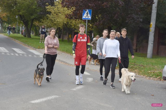 II Bieg 4 Łapy w Dzierżoniowie 