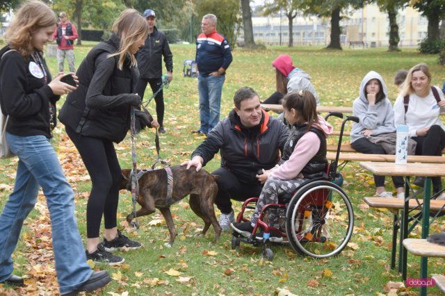 II Bieg 4 Łapy w Dzierżoniowie 