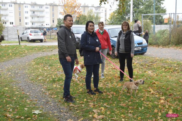 II Bieg 4 Łapy w Dzierżoniowie 