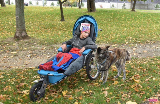 II Bieg 4 Łapy w Dzierżoniowie 
