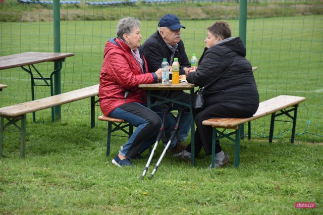Pyrlandia w Mościsku