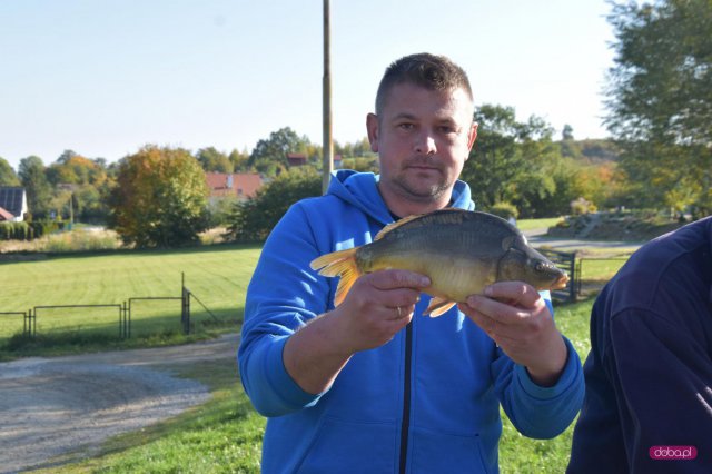 Zarybianie stawów w Bielawie