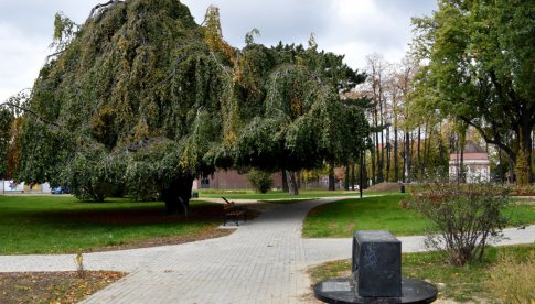 Park Miłośników Dzierżoniowa prawie gotowy