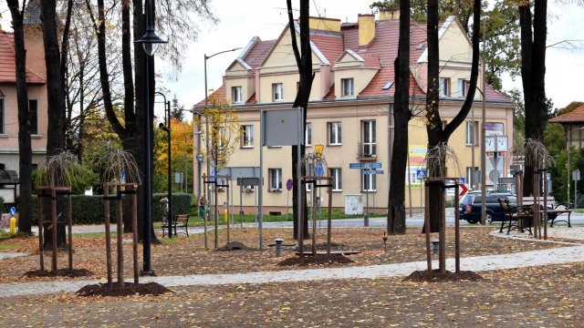 Park Miłośników Dzierżoniowa prawie gotowy
