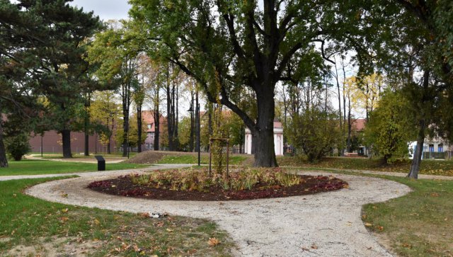 Park Miłośników Dzierżoniowa prawie gotowy