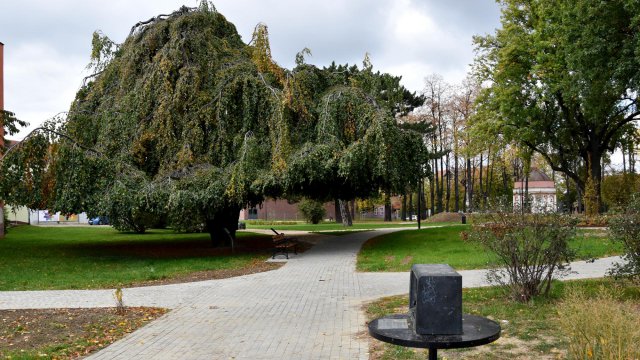 Park Miłośników Dzierżoniowa prawie gotowy