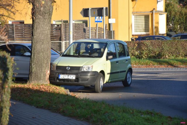 Nietrzeźwy kierowca uderzył w drzewo przy rondzie Czeskim