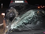 Bmw uderzyło w drzewo na drodze Pieszyce - Piskorzów