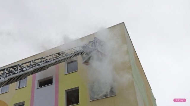 Pożar mieszkania na os. Różanym w Dzierżoniowie