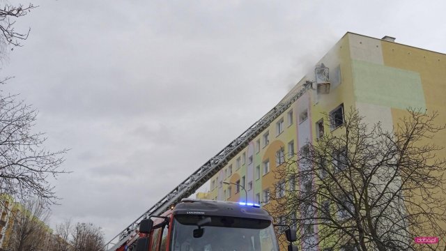 Pożar mieszkania na os. Różanym w Dzierżoniowie