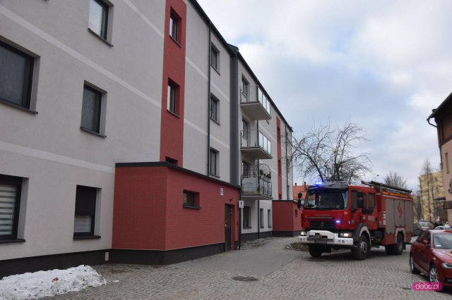 Dziecko zatrzaśnięte w windzie przez...lizaka