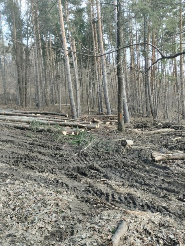 Myśliszów a Góra Parkowa