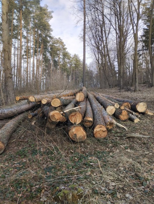 Myśliszów a Góra Parkowa