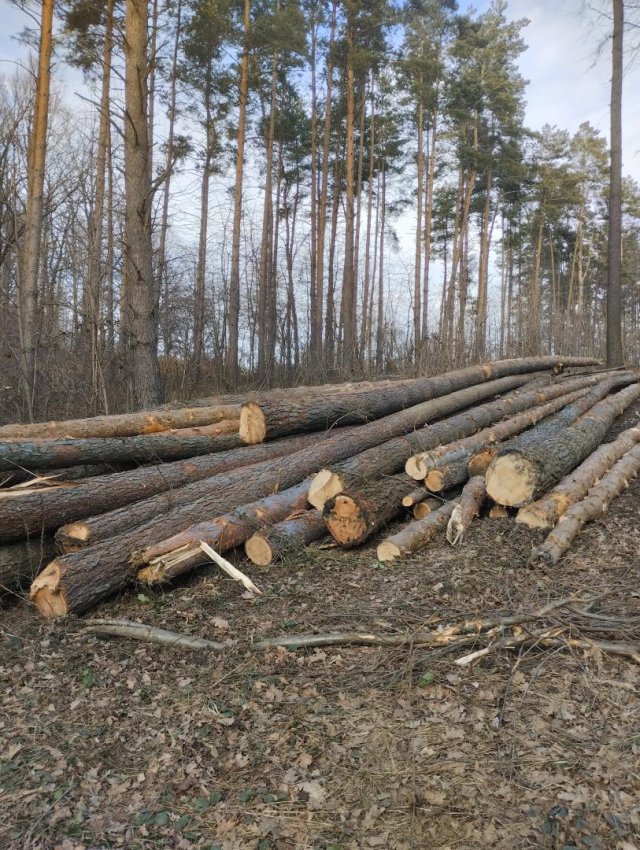 Myśliszów a Góra Parkowa