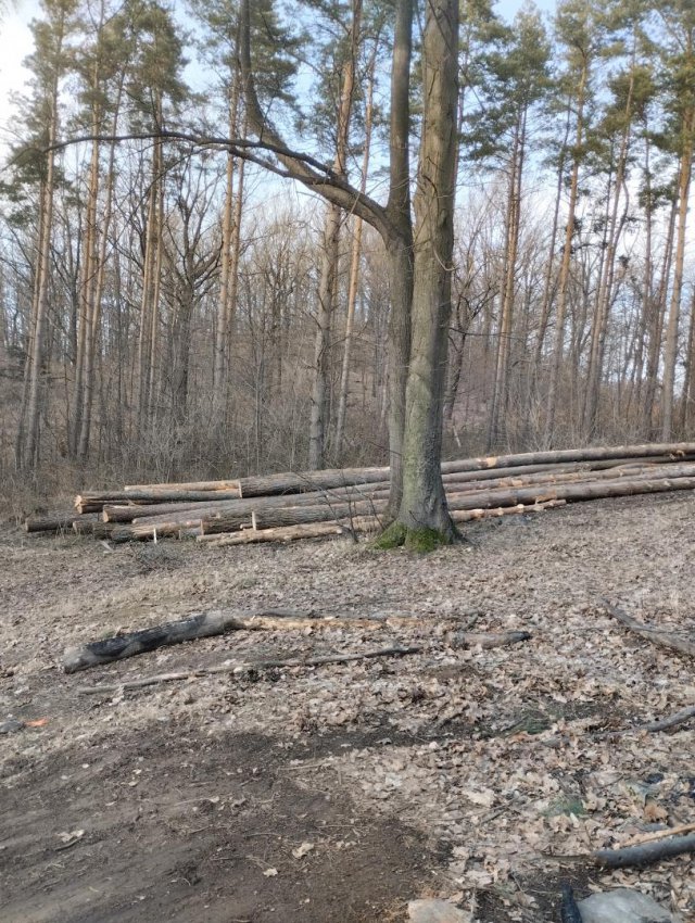 Myśliszów a Góra Parkowa