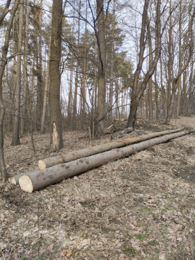 Myśliszów a Góra Parkowa