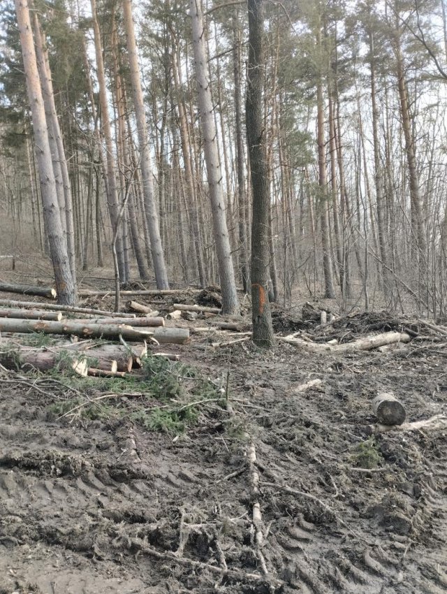 Myśliszów a Góra Parkowa