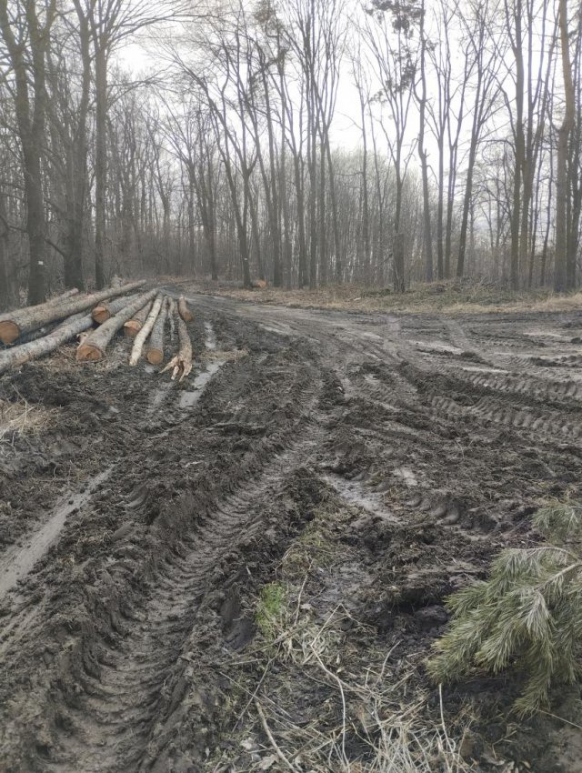 Myśliszów a Góra Parkowa