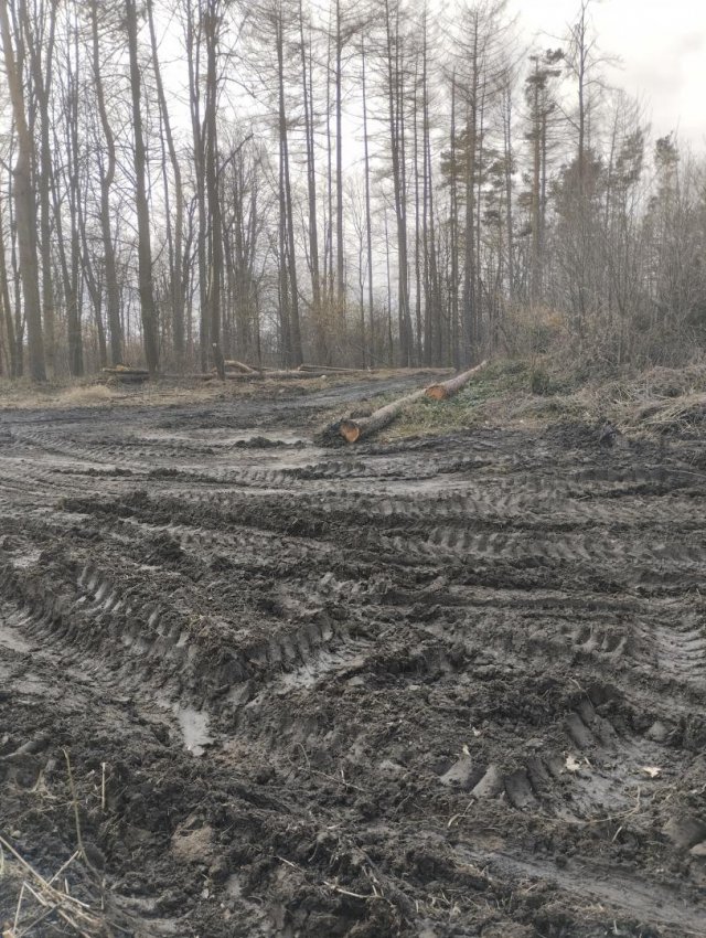 Myśliszów a Góra Parkowa