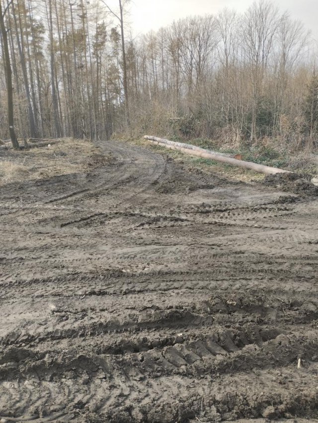 Myśliszów a Góra Parkowa