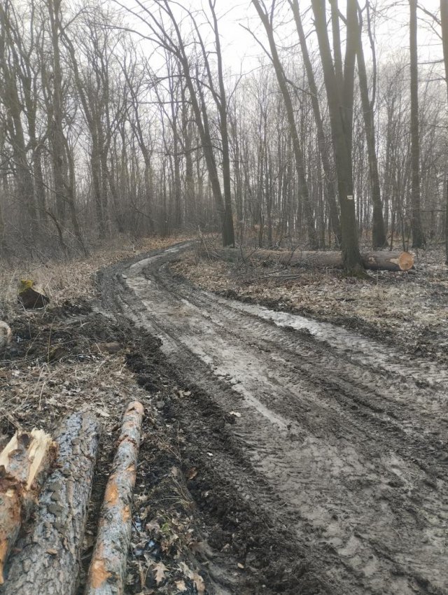 Myśliszów a Góra Parkowa