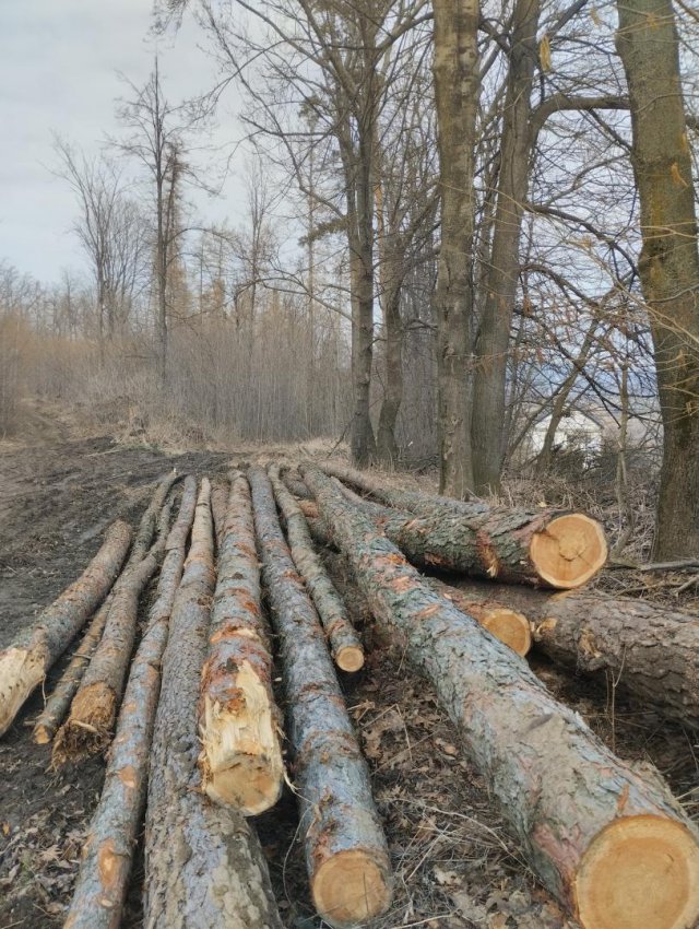 Myśliszów a Góra Parkowa