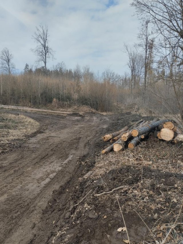 Myśliszów a Góra Parkowa