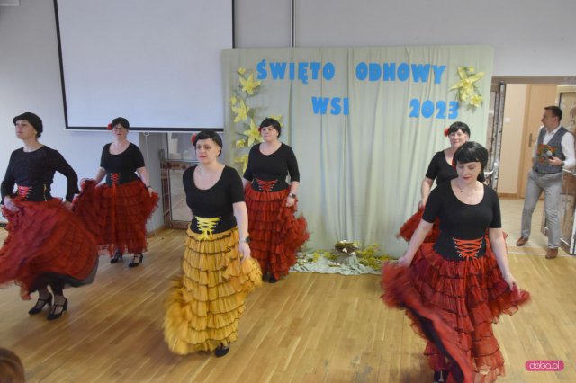 Piława Dolna zwycięzcą konkursu Kreatywne Sołectwo