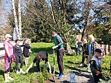 Posadzili drzewa w Słupicach