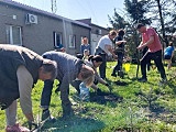 Posadzili drzewa w Słupicach