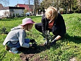 Posadzili drzewa w Słupicach