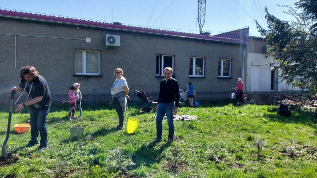 Posadzili drzewa w Słupicach