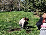 Posadzili drzewa w Słupicach