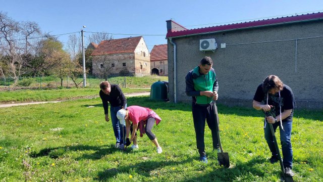 Posadzili drzewa w Słupicach